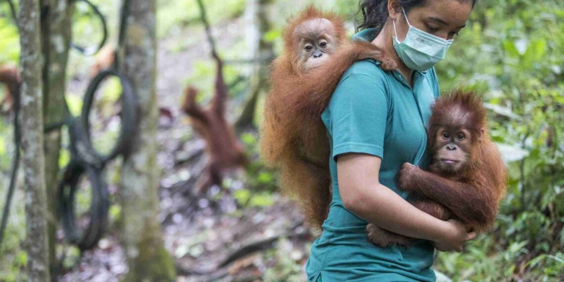 wildlife with kids asia tenggara