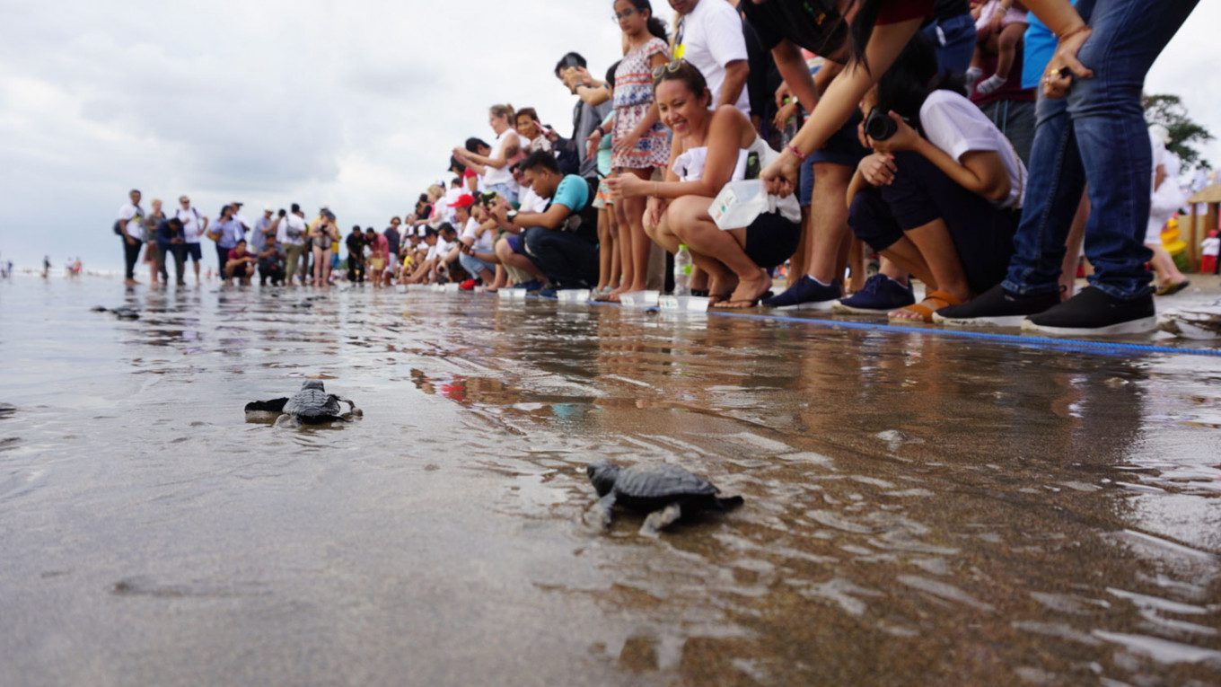 wildlife with kids asia tenggara