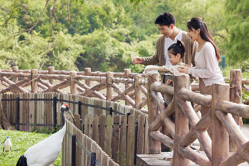 wildlife with kids asia tenggara