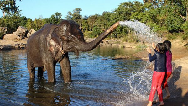 wildlife with kids asia tenggara