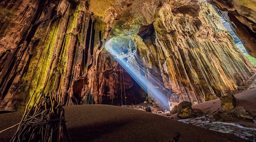 sandakan orangutan and sun bear