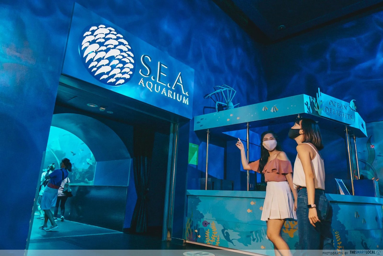 sentosa best attractions one day