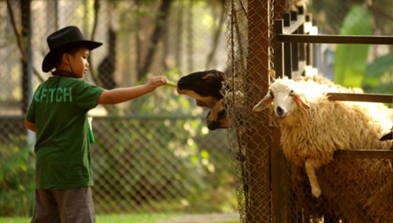 educational trips asia tenggara